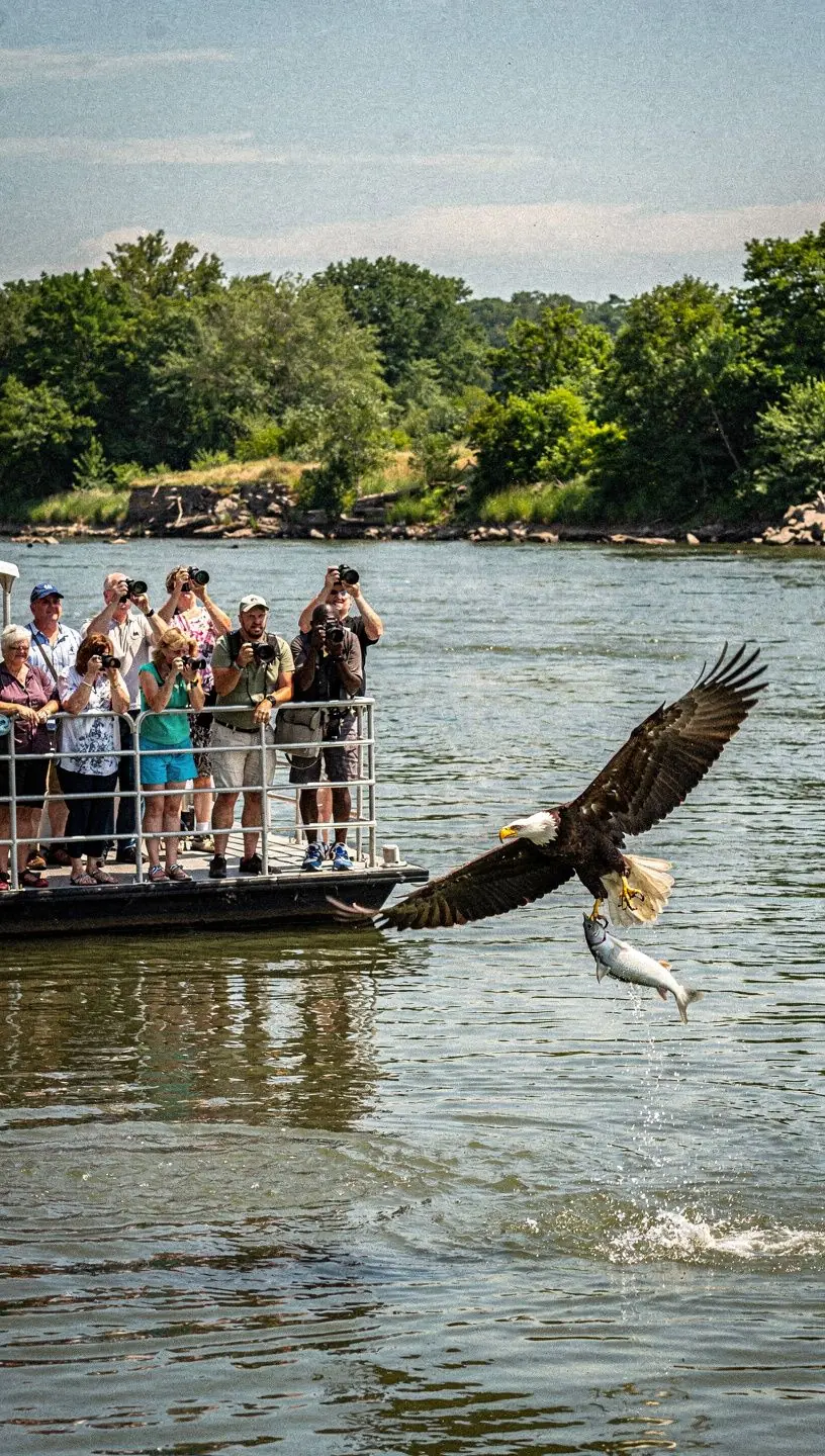 Корабельная экскурсия по живописной реке с зелеными берегами и уникальными пейзажами.